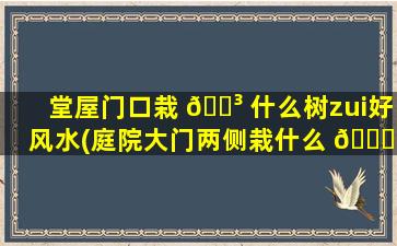 堂屋门口栽 🐳 什么树zui
好风水(庭院大门两侧栽什么 🐅 树好)